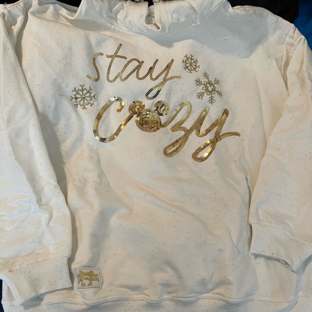 Disney parks hoodie! Stay Cozy❄️
